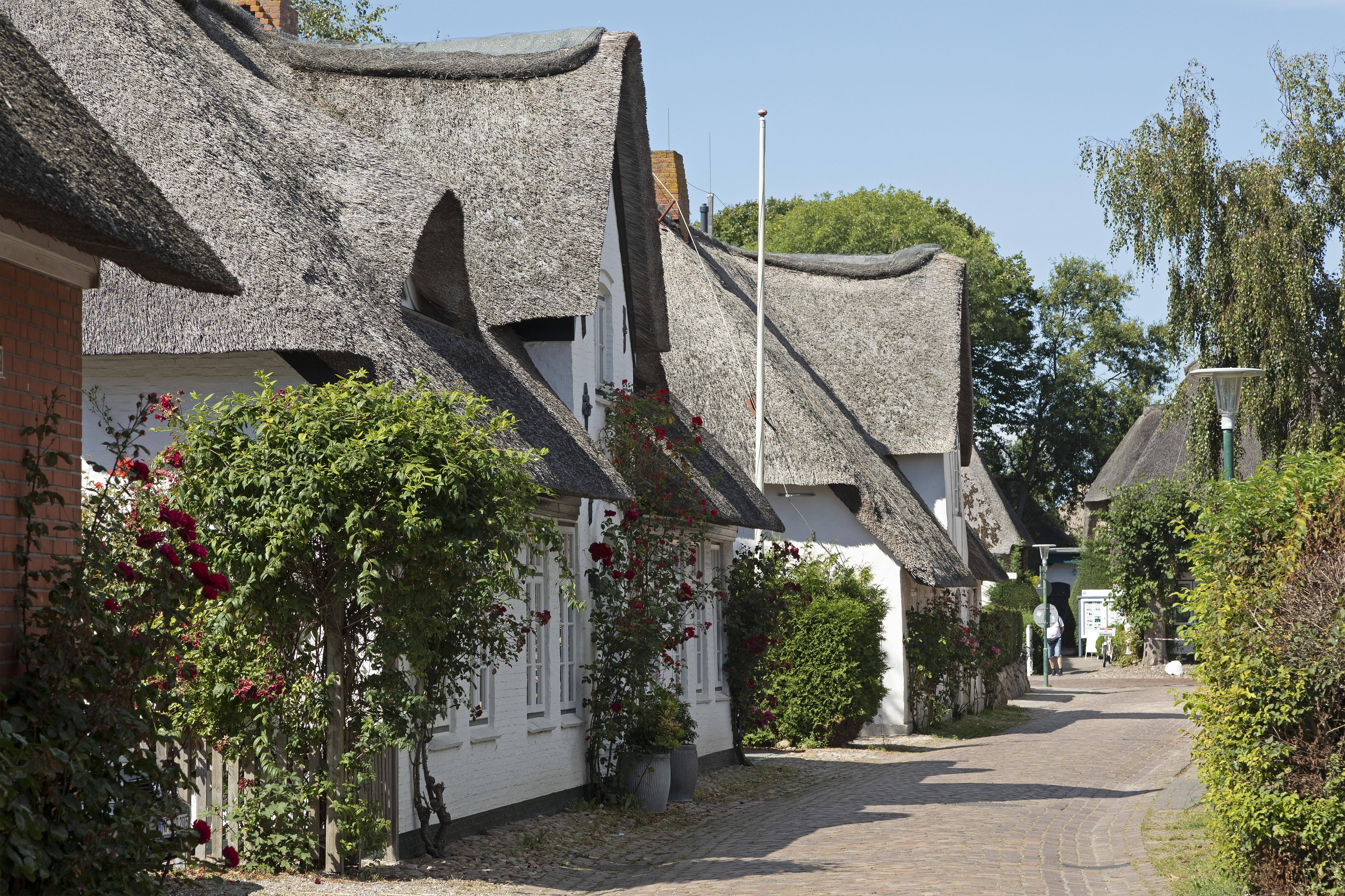 Bauen mit regionalem Bezug und Werkstoffen aus der unmittelbaren Umgebung: Traditionelle Reetdachhäuser in Nieblum auf der Insel Föhr, Nordfriesland Bauen mit regionalem Bezug und Werkstoffen aus der unmittelbaren Umgebung: Traditionelle Reetdachhäuser in Nieblum auf der Insel Föhr, Nordfriesland