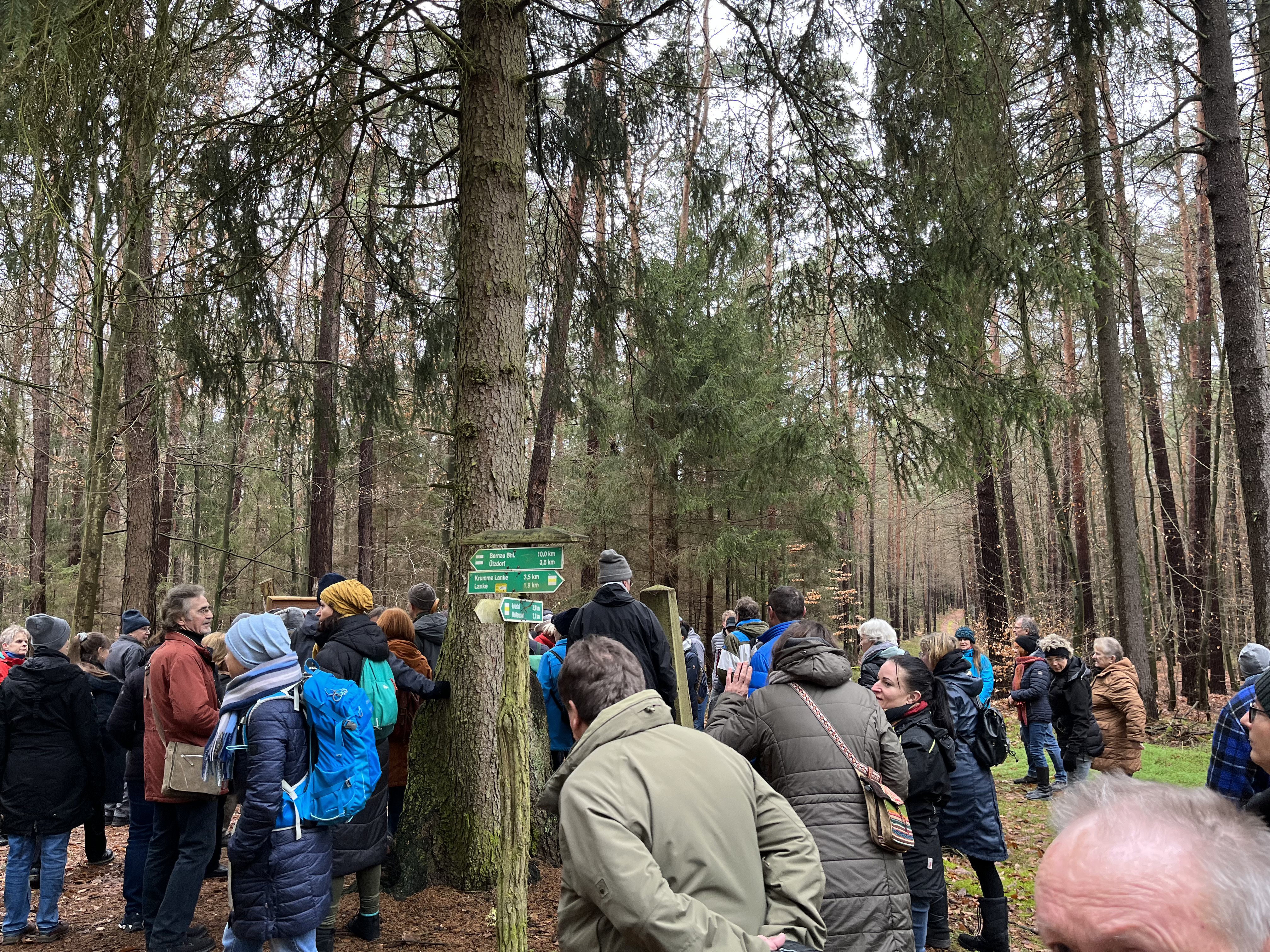 „Hände weg vom Liepnitzwald“ - das Motto beseelt die Teilnehmer der Protestwanderung