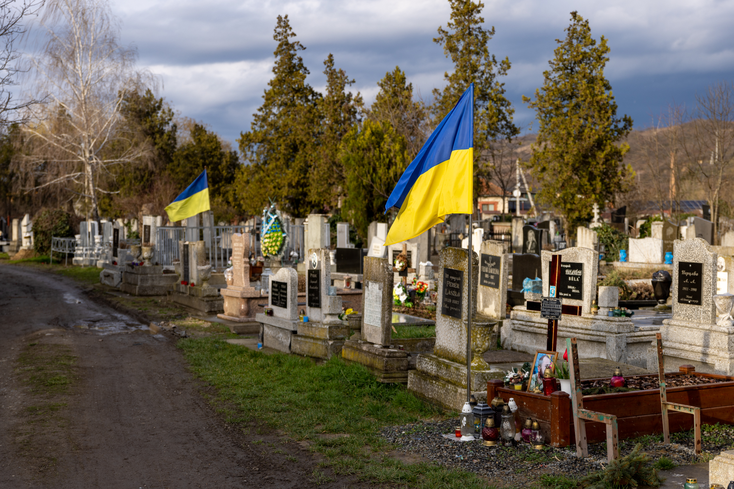 Hauptfriedhof in Berehove/Beregszász (Karpato-Ukraine) mit frischen Soldatengräbern und aufgepflanzter ukrainischer Flagge