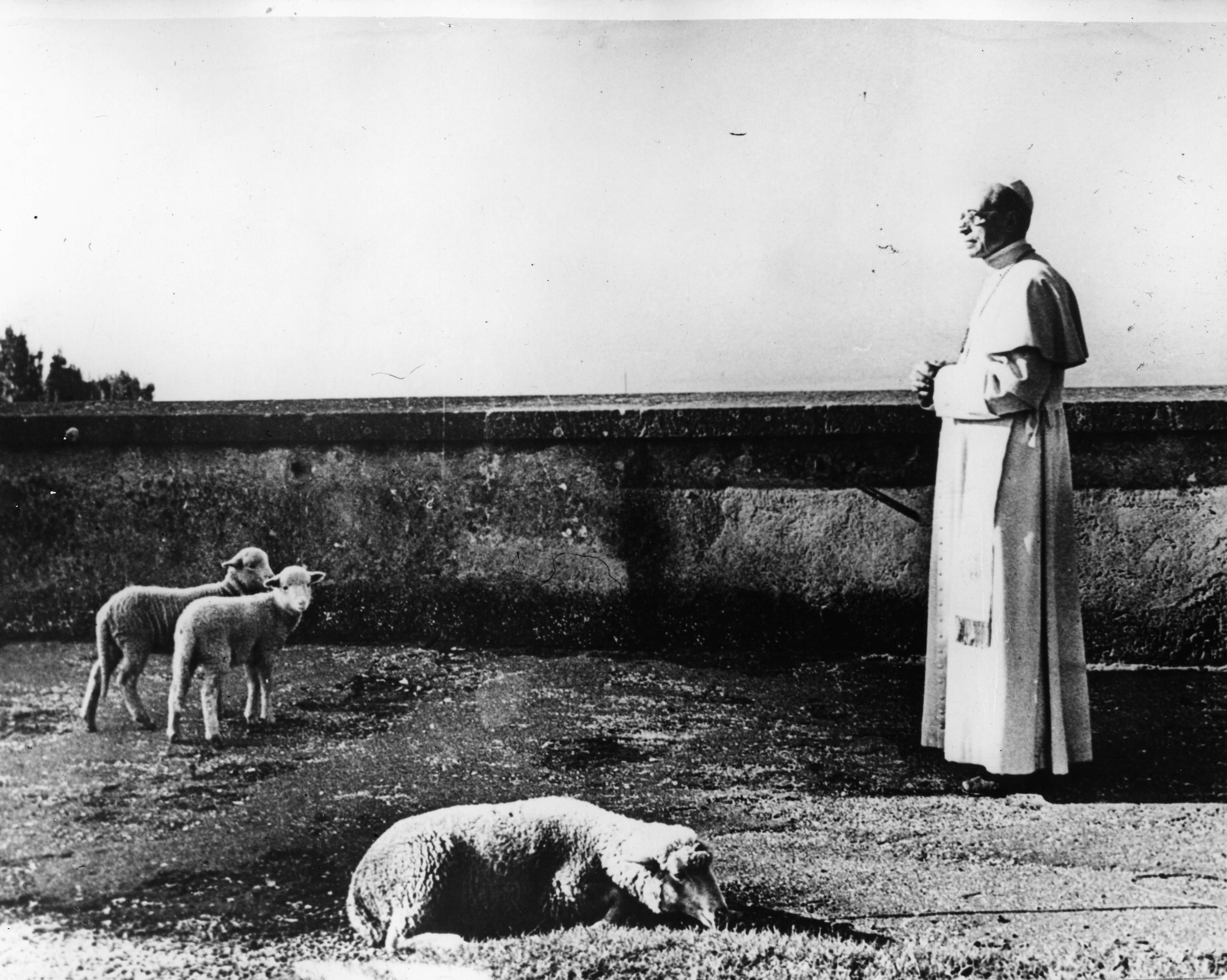 Papst Pius XII. bei der päpstlichen Residenz in Castel Gandolfo im Februar 1956 Papst Pius XII. bei der päpstlichen Residenz in Castel Gandolfo im Februar 1956