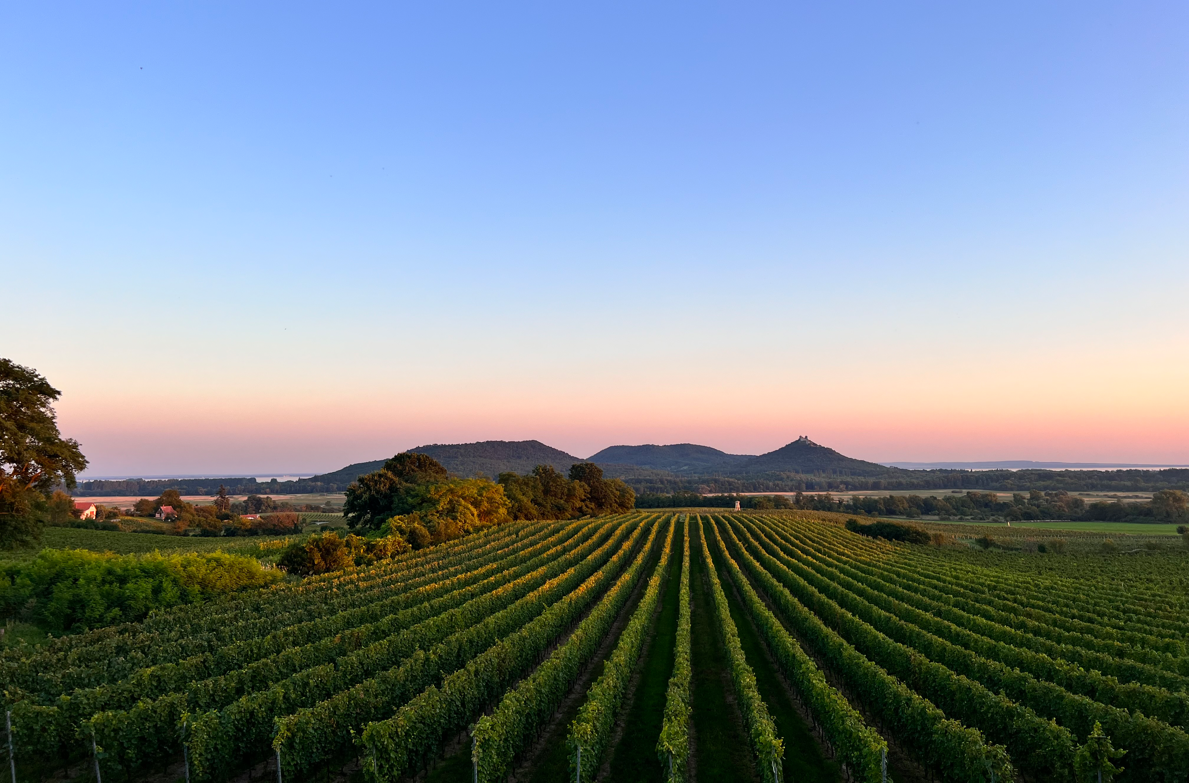 Weinbauregion Badacsony nördlich des Plattensees Weinbauregion Badacsony nördlich des Plattensees