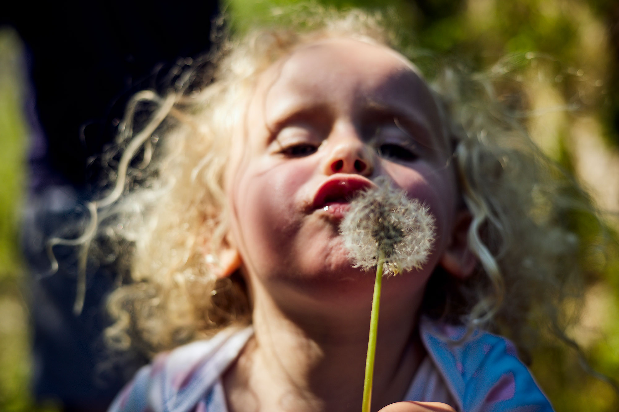 Töchterchen mit Pusteblume und Widerstandsgeist