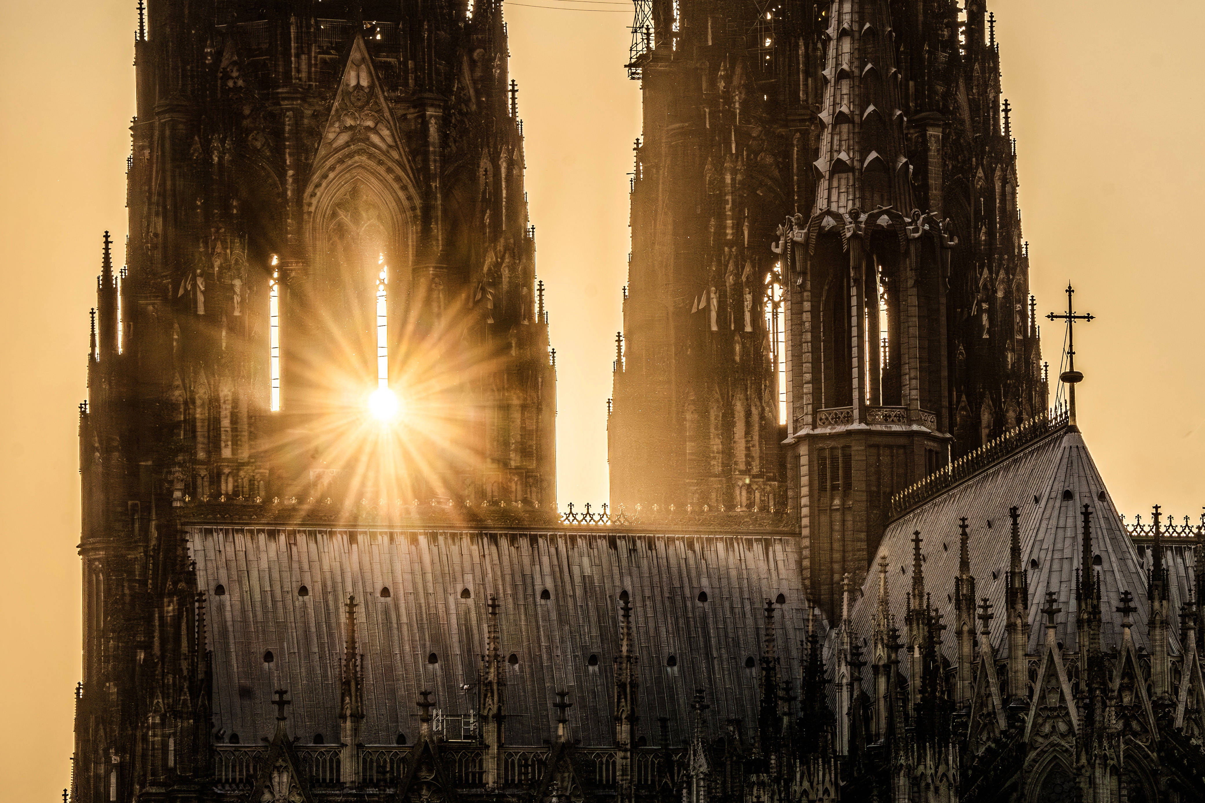 Kölner Dom im Gegenlicht der untergehenden Abendsonne