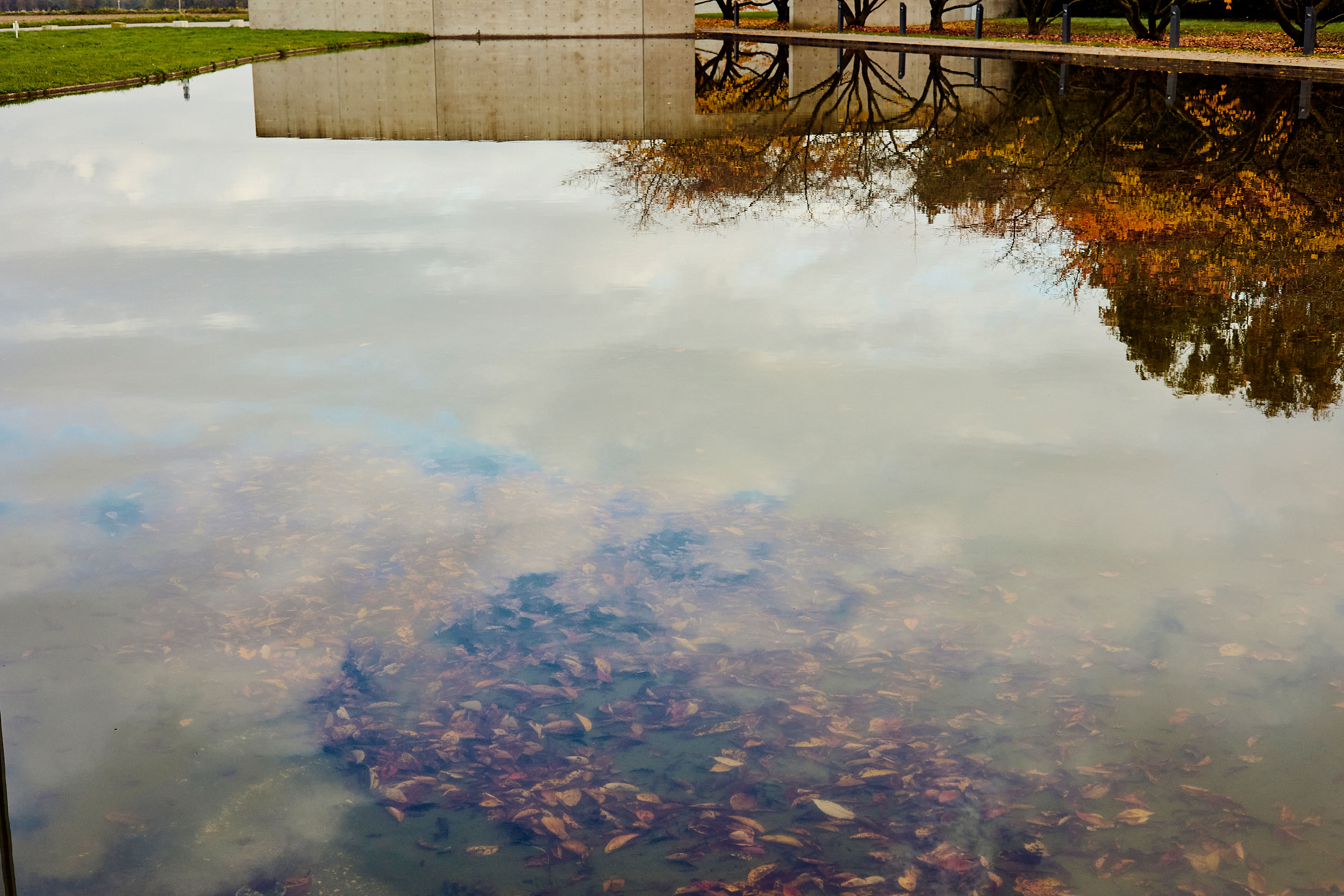 Herbst