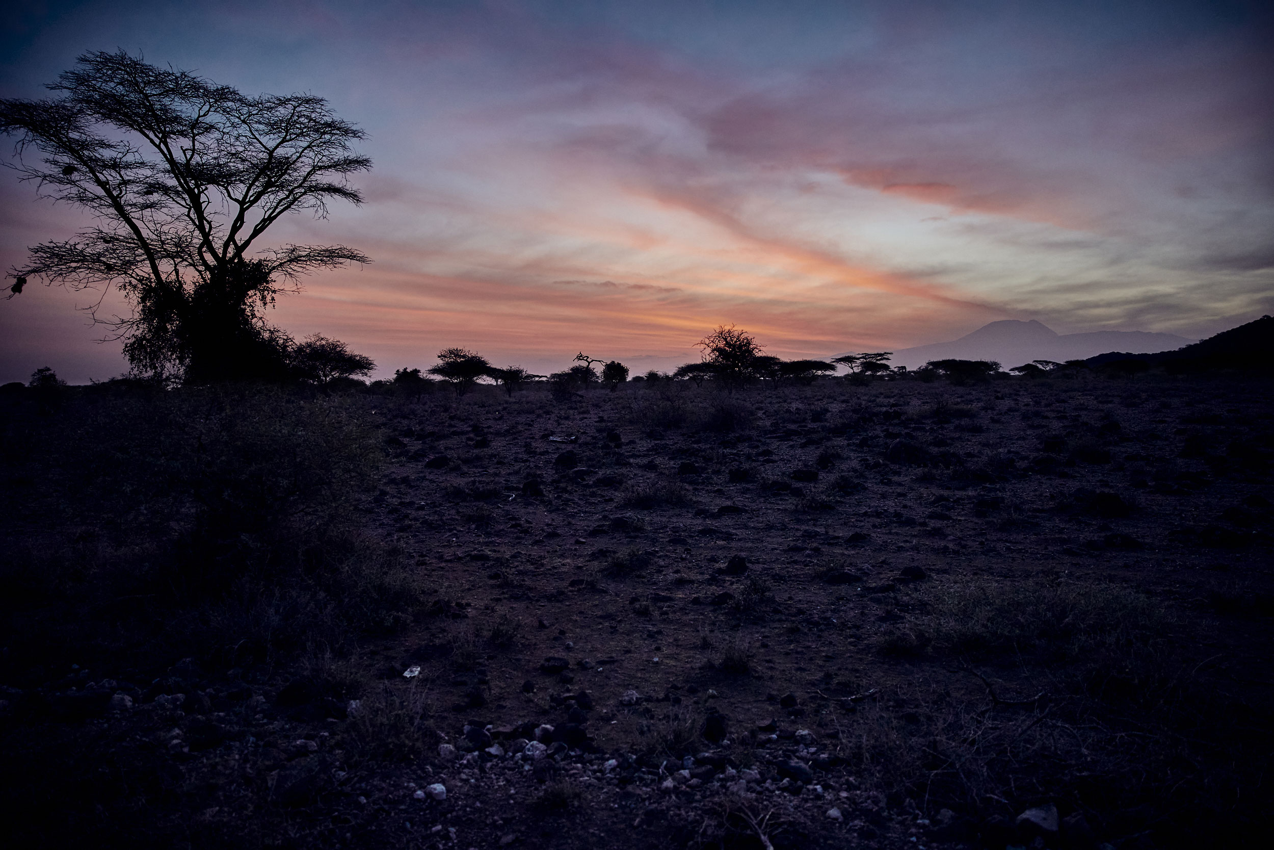 Morgengrauen in Tansania
