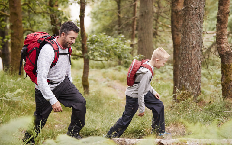 Vater und Sohn, Wanderung, Wald