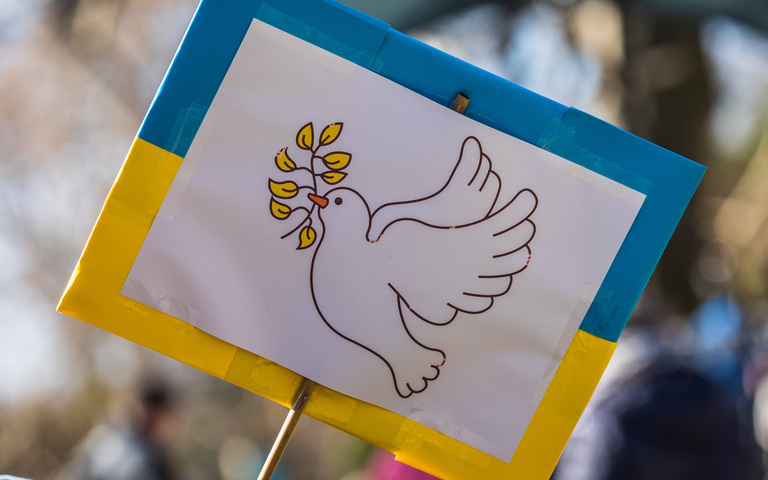 Schild mit Friedenstaube auf Demonstration in Zürich
