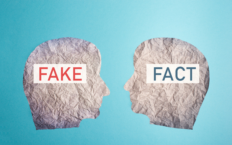 Fake or fact on a head, false and truth information, propaganda and conspiracy theory concept, media and manipulation