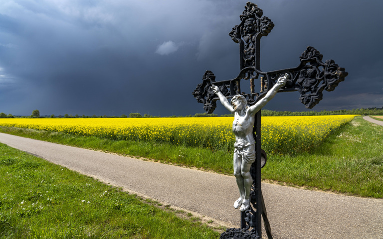 Kruzifix am Rapsfeld