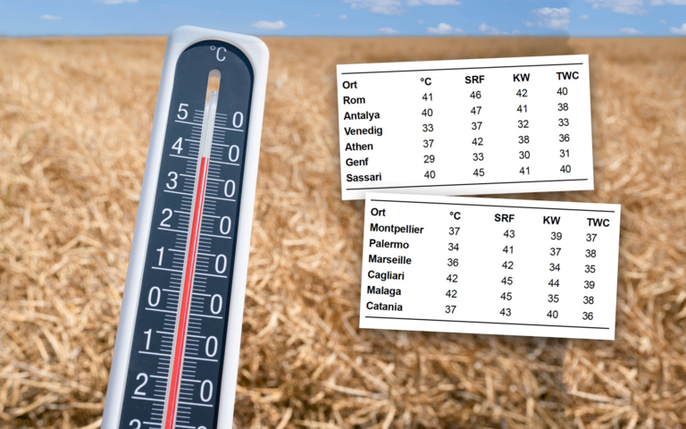 Wettervorhersagen von SRF Meteo deutlich zu hoch