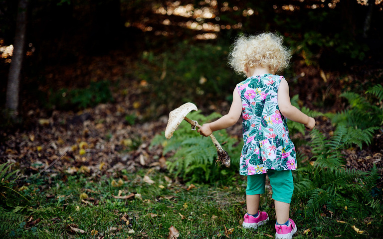 Pilze sammeln mit dem Töchterchen