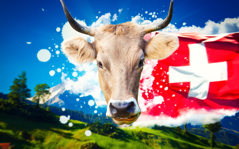 Willkommen in der Schweiz