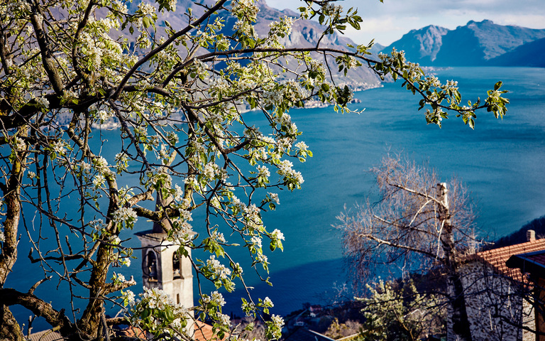 Frühlingsbeginn am Comer See