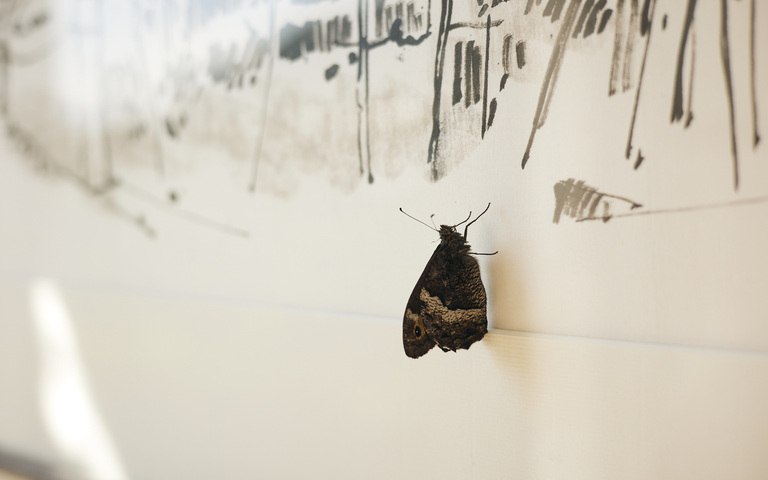 Schmetterling auf einem Gemälde