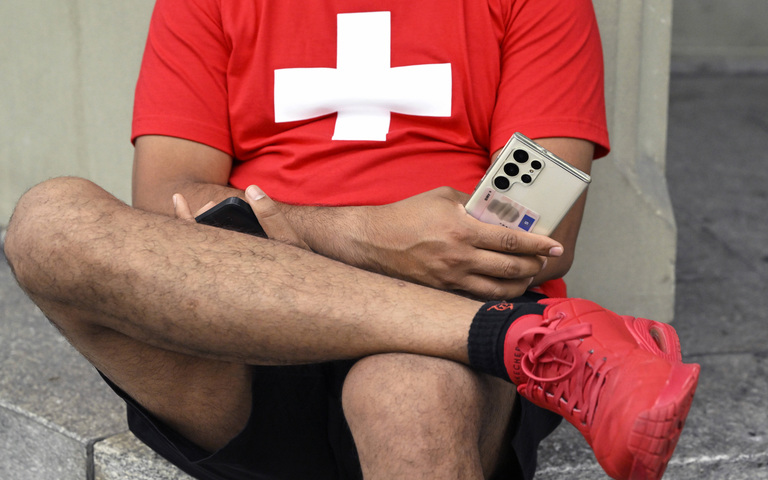 Schweizer: Kommen auch ohne EU ganz gut zurecht