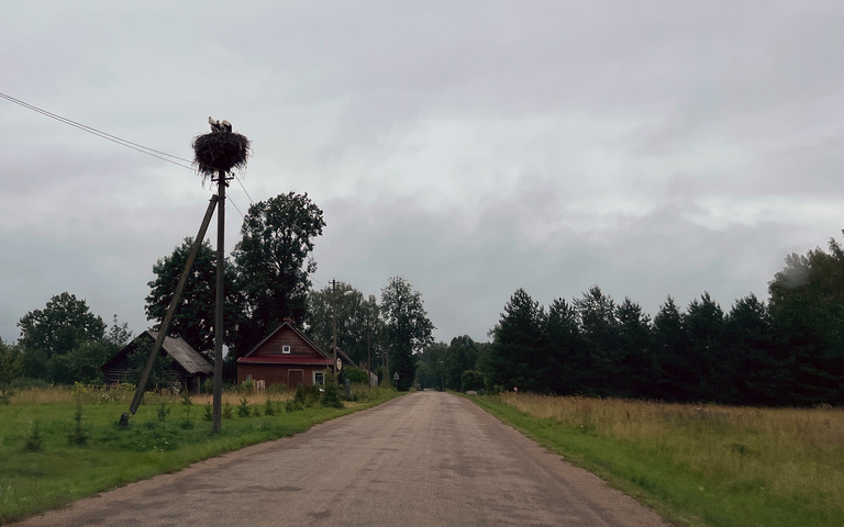 Verlassene Straße bei Bozova mit Storchennest und einzelnem Holzhaus bei trübem Wetter, Lettgallen, LV