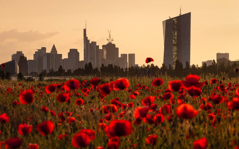 Das Gebäude der Europäischen Zentralbank in Frankfurt am Main und die Skyline der Stadt