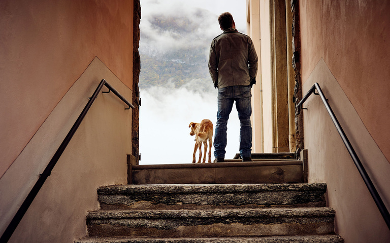 Oliver Stock auf dem obersten Treppenabsatz in Begleitung seiner Hündin, nach Art von „Wanderer über dem Nebelmeer“