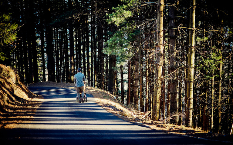 Mit Töchterchen und Frau im Wald