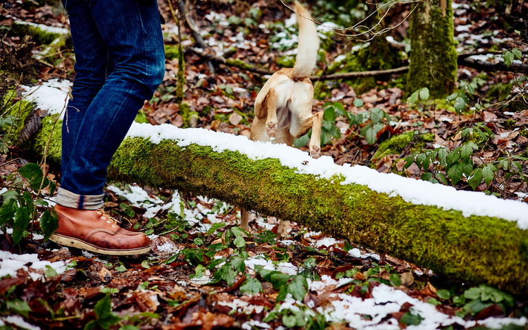 Mit dem Hund im Januar draußen: Dem anderen seine Macken lassen
