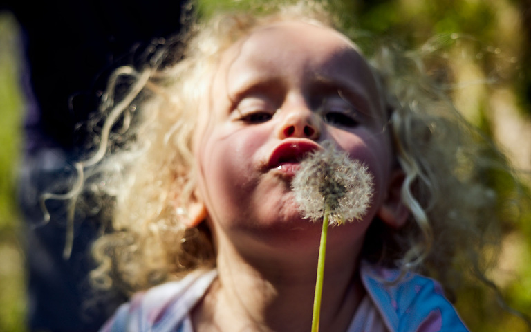 Töchterchen mit Pusteblume und Widerstandsgeist