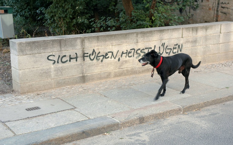 Hund vor dem Spruch „Sich fügen, heißt lügen“ an einer Mauer in Berlin