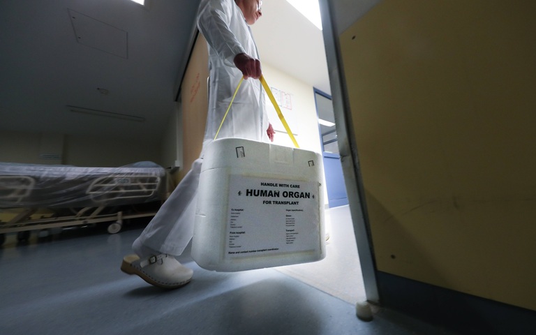 Organtransport