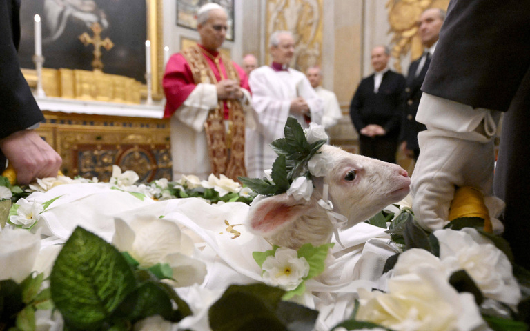 Papst Leo XIV. segnet am Gedenktag der heiligen Agnes zwei Lämmer im Vatikan