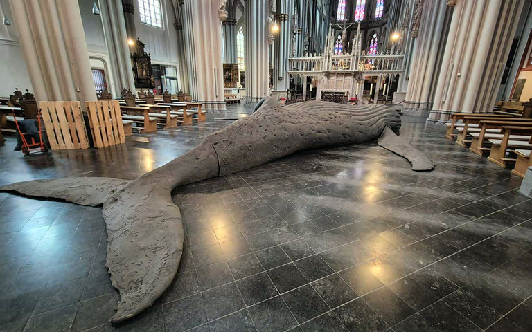 Abguss eines Buckelwals im Xantener Dom