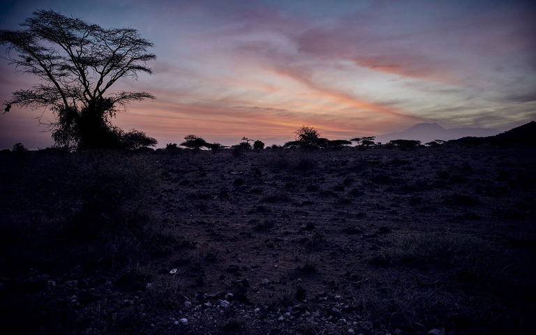 Morgengrauen in Tansania