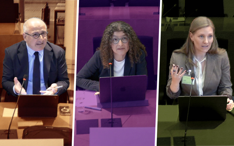 Kristijan Aufiero, Liane Wörner und Dana-Sophia Valentiner im Bundestag