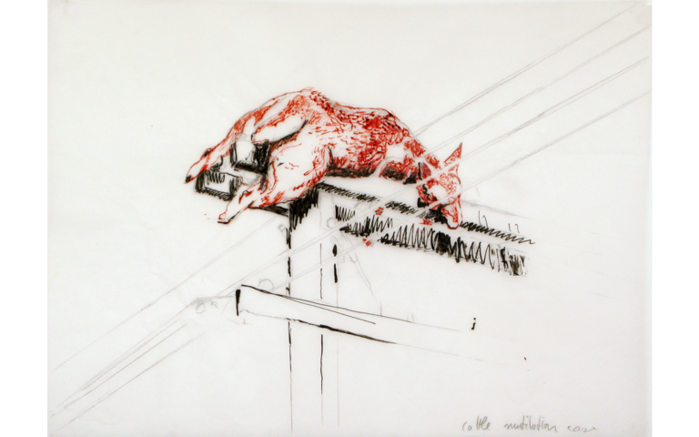 Frank J. Schäpel, Totes Reh auf Telekommunikationsmast. Januar 2003. Nahe Winnepeg, Manitoba, Kanada / 2010 / Bleistift, Tusche/Transparentpapier 30 x 41 cm